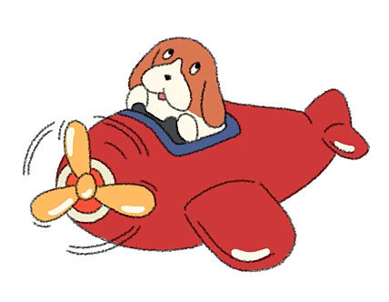 HAPPYPUKAN aircraft artwork